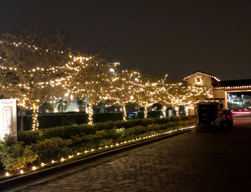 Reasons Why You Should Go to the Experts of Christmas Light Installation
