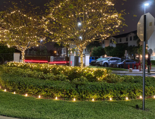 It’s Your Last Chance for Professional Christmas Light Installation!
