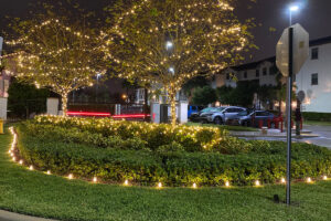 Commercial Christmas lights Davie FL