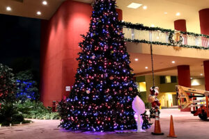 Commercial Christmas lights Pinecrest FL