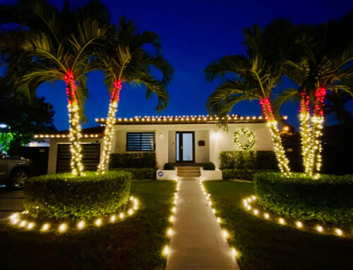 Ditch the Drama, Embrace the Dazzle: Leave Your Holiday Light Hanging to Amco!