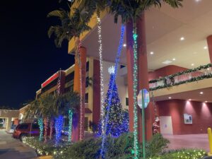 commercial christmas lights Fort Lauderdale FL