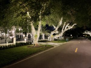 holiday lighting Fort Myers FL