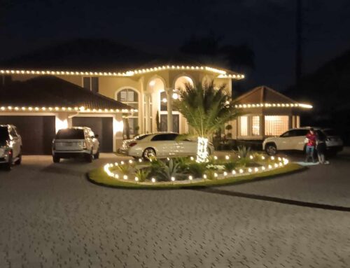 Let The Holiday Rush, Work For You. Call Christmas Lights By Amco